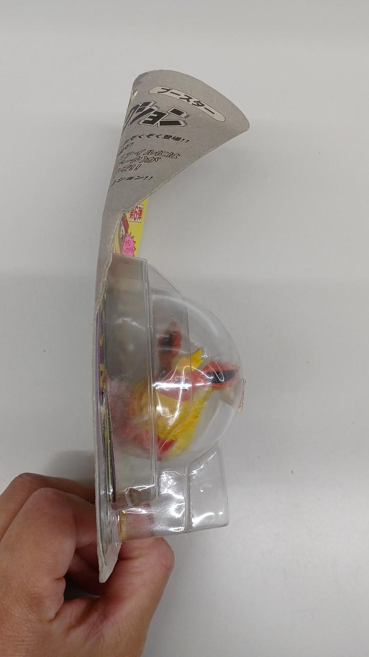 台紙ヨレてます