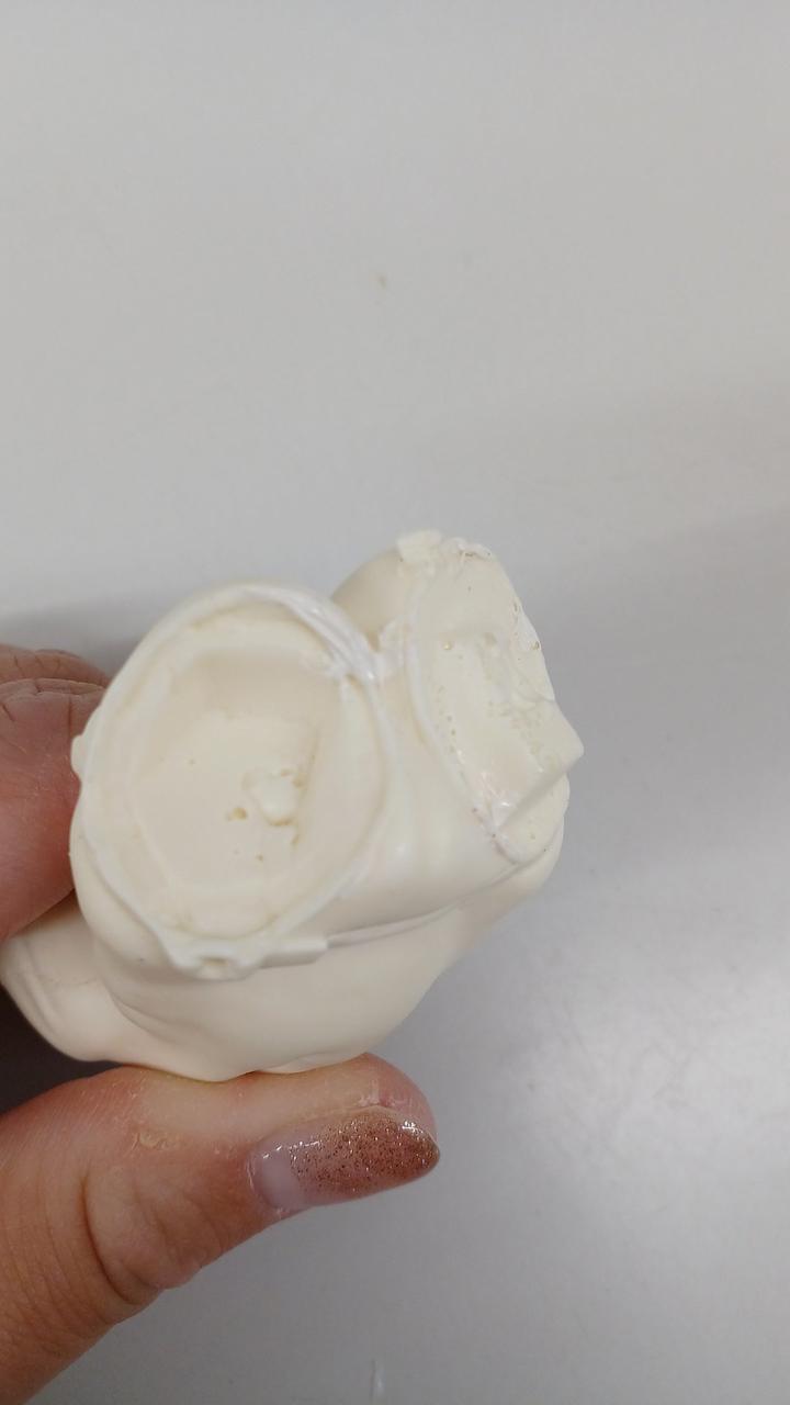 白く塗ってある箇所あり