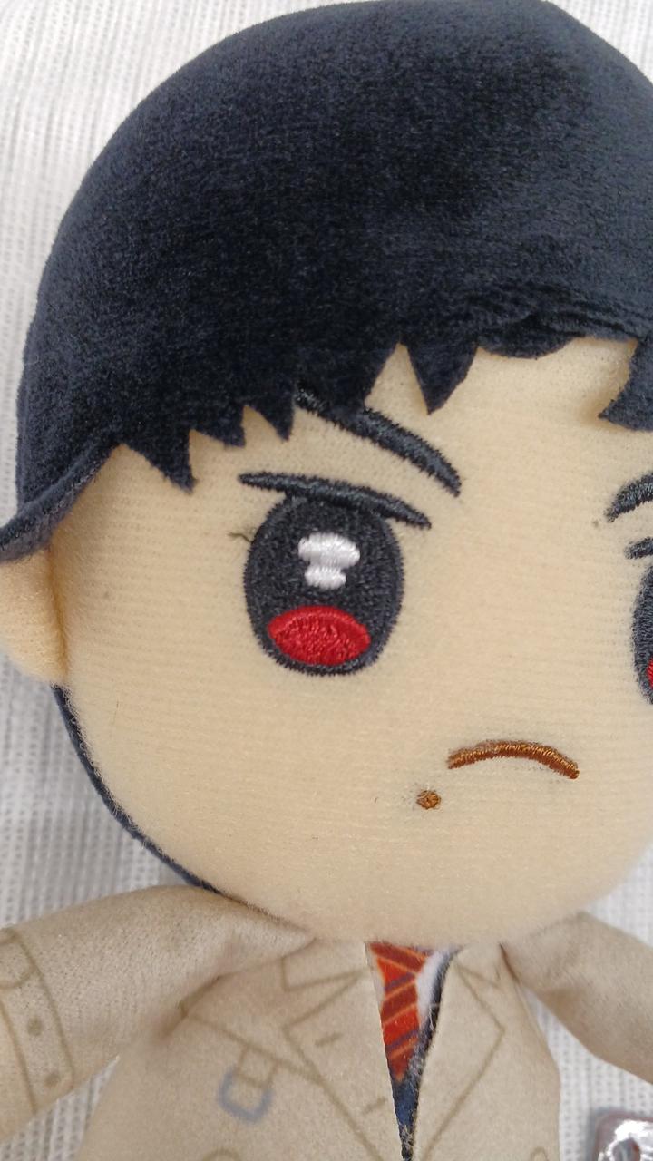 ほつれあり