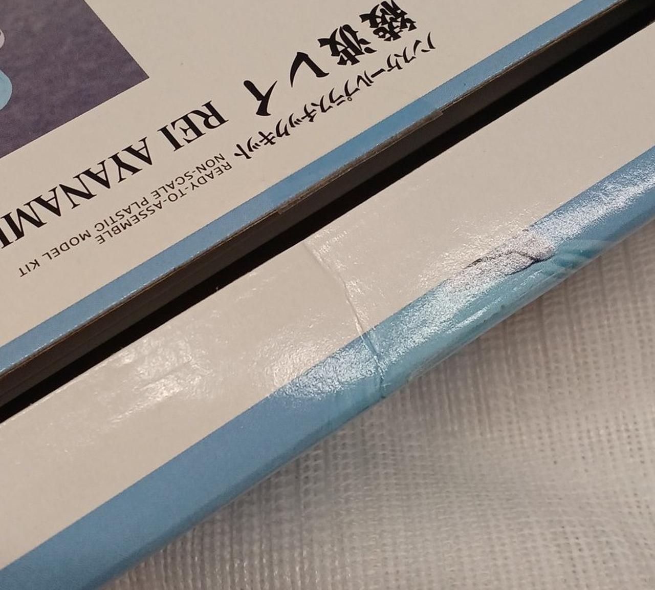 爪折れあり