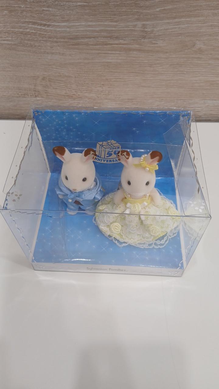 ケース破損部分入って落ちてしまっています
