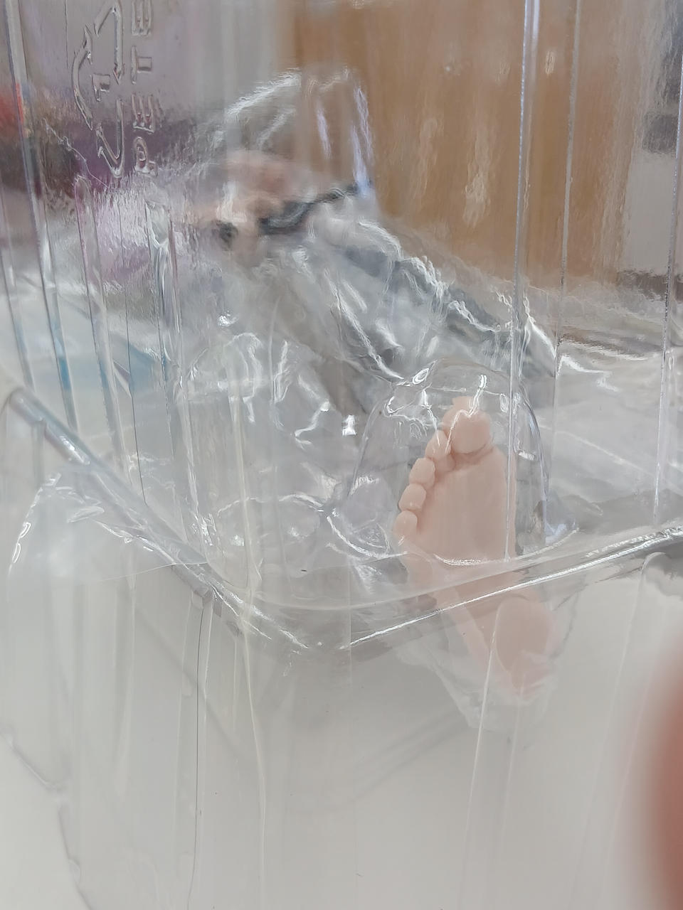 ブリスター未開封