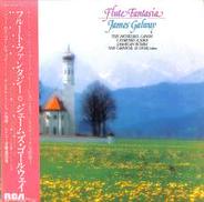 フルート・ファンタジー　　ゴールウェイ|RVC