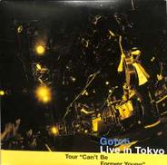 ゴッチ(後藤正文)「LIVE IN TOKYO」|ONLY IN DREAMDS