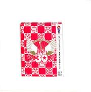 サザンオールスターズ「真夏の大感謝祭LIVE」|ビクター