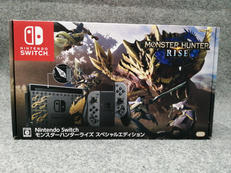 ニンテンドースイッチ　モンスターハンターライズ　スペシャルエ|NINTENDO