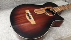 アコースティックベース|IBANEZ