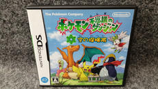 DSソフト|NINTENDO