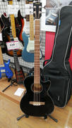 アコースティックベース|FENDER
