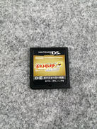 DSソフト|ゲームフリーク