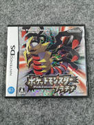 DSソフト|NINTENDO