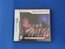 DSソフト|サクセス