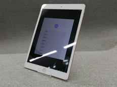 IPAD|APPLE