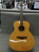 アコースティックギター|GREG BENNETT