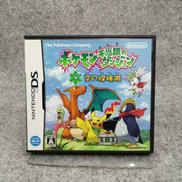 DSソフト|NINTENDO