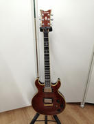 エレキギター|SCHECTER