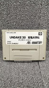 UNDAKE30 鮫亀大作戦 マリオバージョン|HUDSON