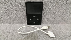 iPod|APPLE