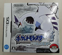 DSソフト|NINTENDO