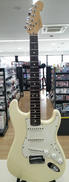 エレキギター|FENDER USA