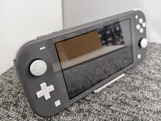 SWITCH LITE|NINTENDO