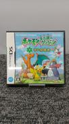 DSソフト|POKEMON