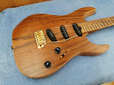 その他ボディタイプ|CHARVEL