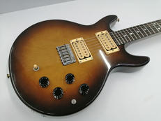 その他ボディタイプ|ARIA PROⅡ