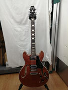 セミアコ|ARIA PROⅡ