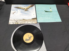 SEYCHELLS/高中正義|KITTY RECORDS