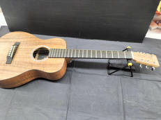 ミニアコギ|MARTIN