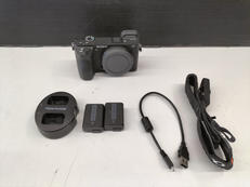 ミラーレス一眼|SONY