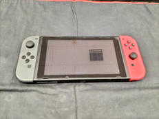 SWITCH|NINTENDO / 任天堂