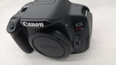 デジタル一眼レフ|CANON