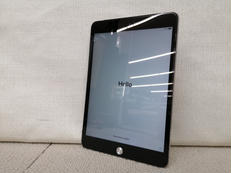 IPAD MINI|APPLE / DOCOMO