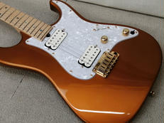 エレキギター|T'S GUITARS