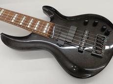 5弦ベース|ARIA PROⅡ