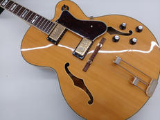 エレキギター|EPIPHONE