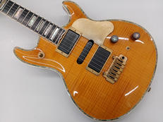 エレキギター|FUJIGEN