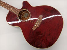 エレアコ|TAKAMINE