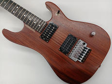 エレキギター|WASHBURN