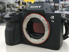 ミラーレス一眼ボディ|SONY