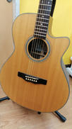 アコースティックギター|MORRIS