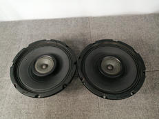 スピーカーユニット(ペア)|ALTEC