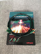 オーディオケーブル|AUDIOQUEST