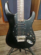 エレキギター|BACCHUS