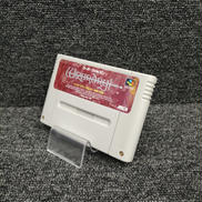 ウィザードリー外伝IV ～胎魔の鼓動～|ASCII