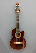 エレガット|GIBSON USA