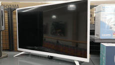 【出品店舗受取限定】　液晶テレビ|ドウシシャ