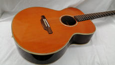 アコースティックギター|ARIA MEISTER